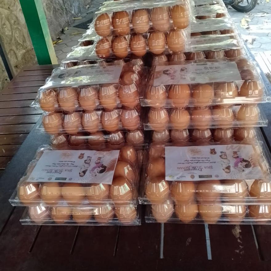 Meski Libur Idul Adha, Kalurahan Hargorejo Tetap Salurkan Program Dua Telur Sehari